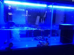 -盛焰铁板烧(王府井店)