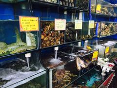 水产区-蚝专家(北滘店)