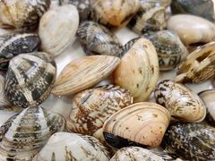 -山海关清和浑锅店