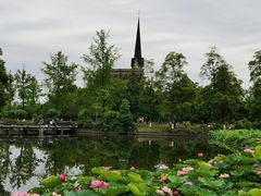 -成都南湖公园