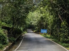 -广州白江湖森林公园