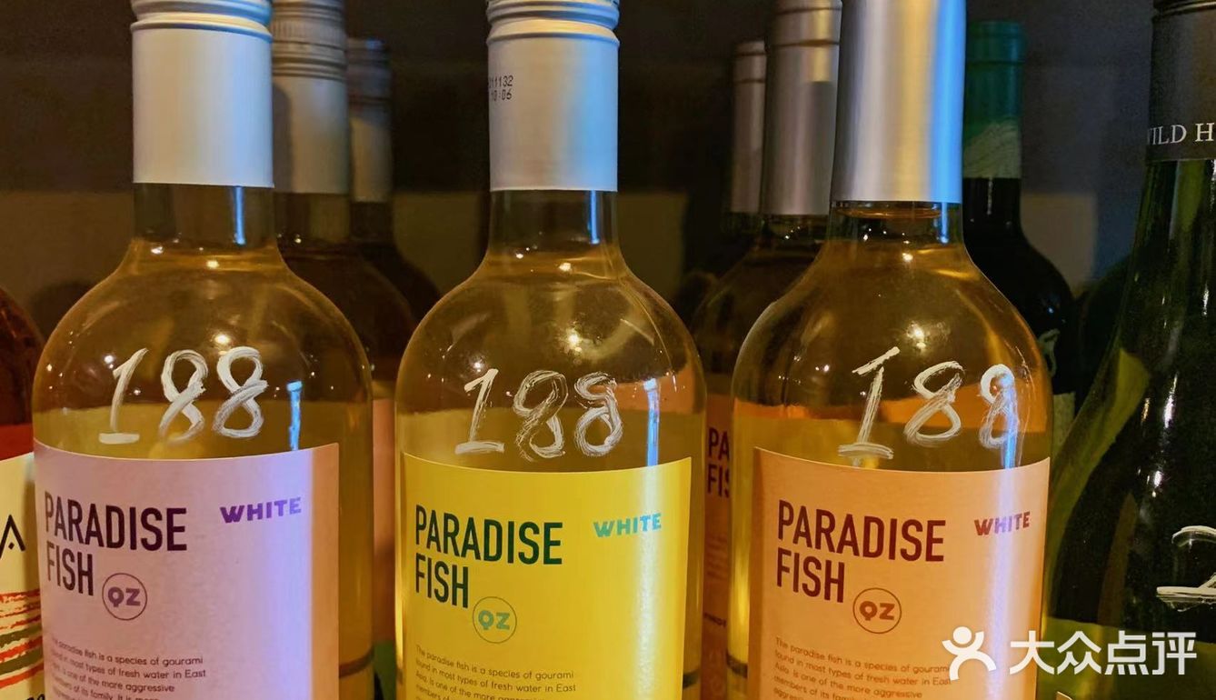 梧桐树下的宝藏小酒馆🥂