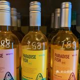 梧桐树下的宝藏小酒馆🥂