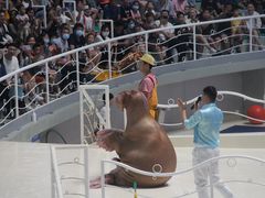 -泉城欧乐堡海洋极地世界