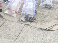 -华声天桥民俗文化园