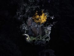 -杭州黄龙洞