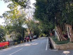 -火炉山森林公园