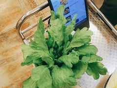-京都蝎府羊蝎子火锅(珠市口店)