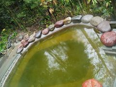 -花水湾第一村温泉大酒店