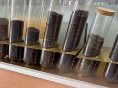 -雾与山茶(大禹城店)