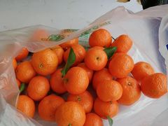 -鲜丰水果(仙霞路店)