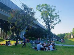 -宝安西湾红树林湿地公园