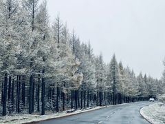 -塞罕坝国家级自然保护区