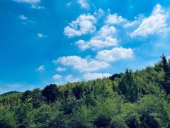 -旺山·浪头人家