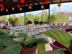 -园林美食城·本土农家菜(杨和镇店)