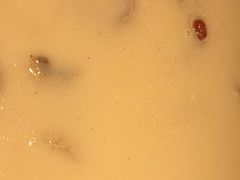 -捞王猪肚鸡火锅(昆山店)