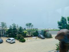 -了不起的考拉咖啡店(高新店)