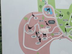 -红山森林动物园