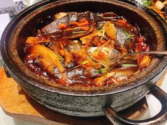 经典石锅碟鱼头-船家渔(徐州北路店)