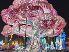 -淄博花灯齐彩城
