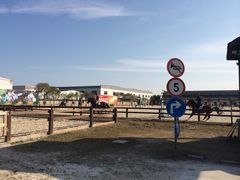 iphone_upload_pic-松声马术俱乐部