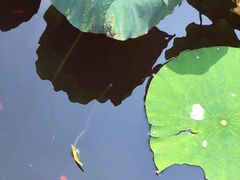 -梦溪园(中营街)