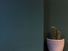 -So Acai(天河店)