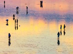 -南汇嘴观海公园