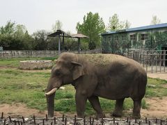 -西安秦岭野生动物园