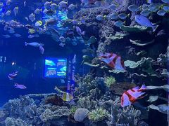 -左海海底世界
