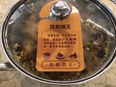 -百利鸽王(紫薇路店)