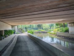 -皇粮浜湿地公园