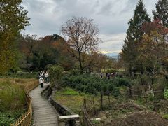 -塔川景区