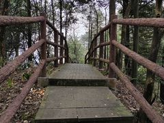-缙云山景区