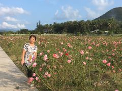 -亚龙湾国际玫瑰谷