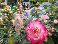 -人民公园(罗湖区)