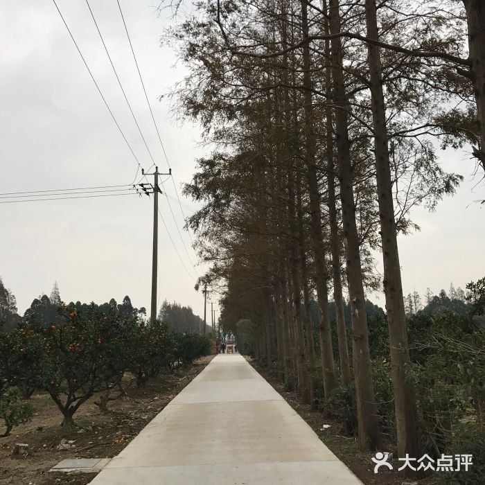 上海长兴岛郊野公园图片