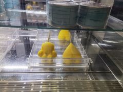 -野人先生现做冰淇淋(西安赛格店)