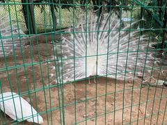 -五龙山野生动物王国