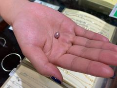 -北海金海湾红树林生态旅游区