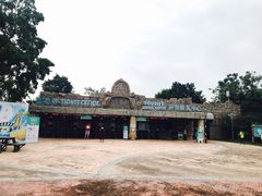 -美的鹭湖探索王国