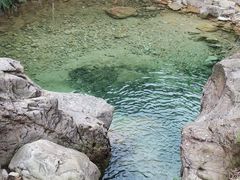 -南海湾森林生态园