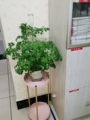 -湖南尚美妇幼医院