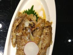 -丰收日(五角场店)