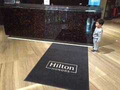 -广州天河希尔顿酒店