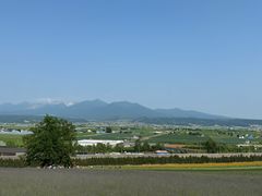 -富田农场