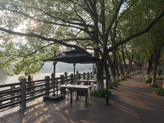 -白马涧龙池景区