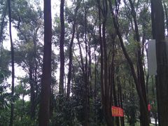 -南国桃园旅游度假区