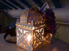 -Sirena海妖日咖夜酒