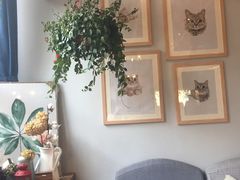 用餐区-吉丁鸟咖·异宠·寄养